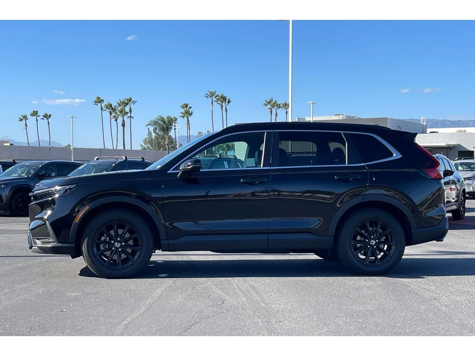 Used 2025 CRYSTAL BLACK PEA Honda Sport-L image 2