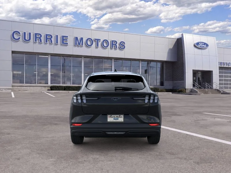 New 2026 Shadow Black Ford Premium image 5