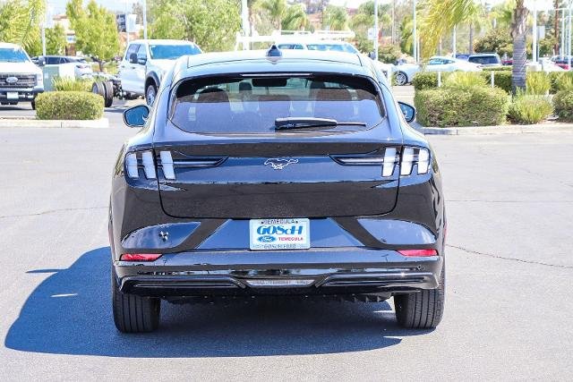 New 2026 Shadow Black Ford Premium image 33