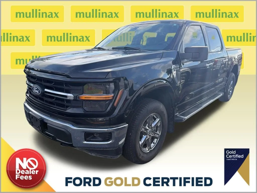 2024 Ford F-150 XLT 4x4 SuperCrew 145 in's photo