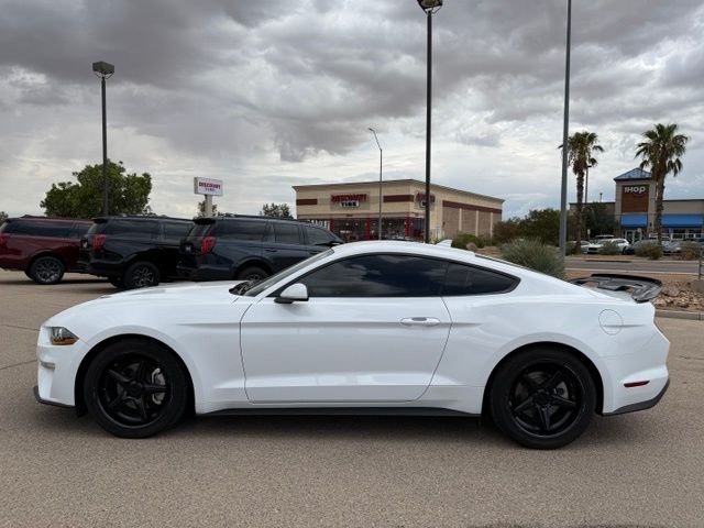 2023 Ford Mustang EcoBoost - Photo 9