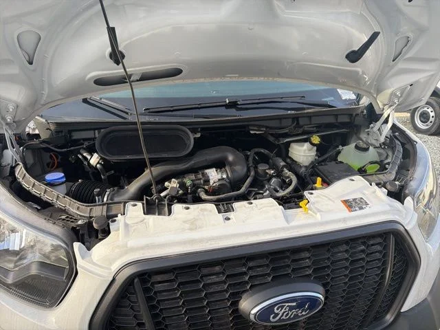 New 2024 White Ford Base image 15