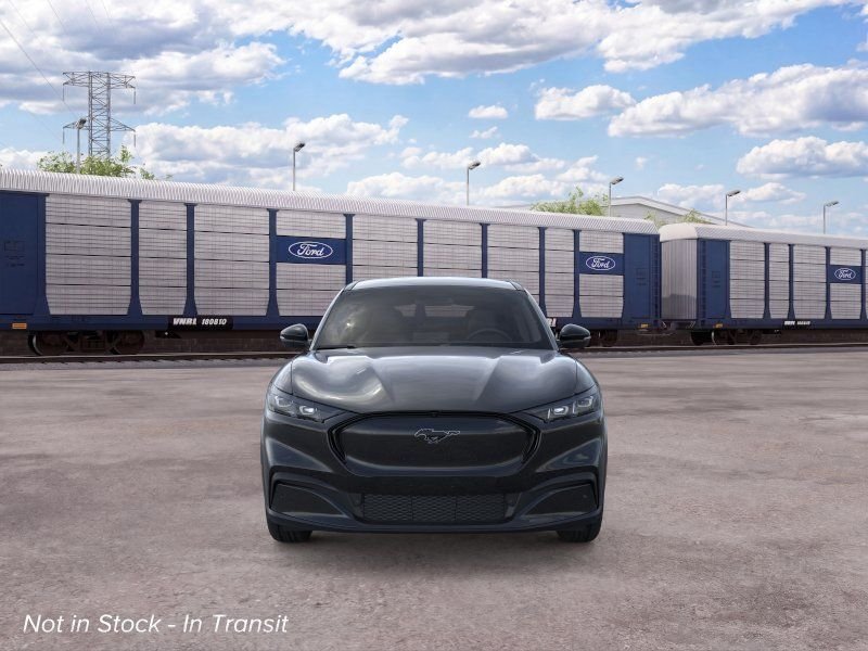 New 2026 Shadow Black Ford Premium image 7
