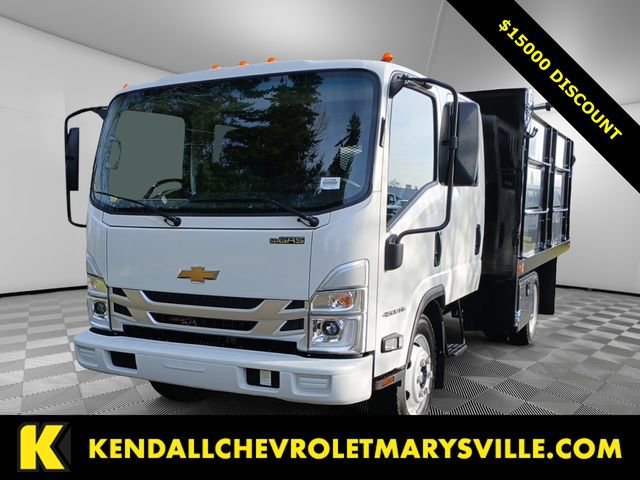 2025 Chevrolet Low Cab Forward 4500 Gas 150" WB Crew Cab's photo