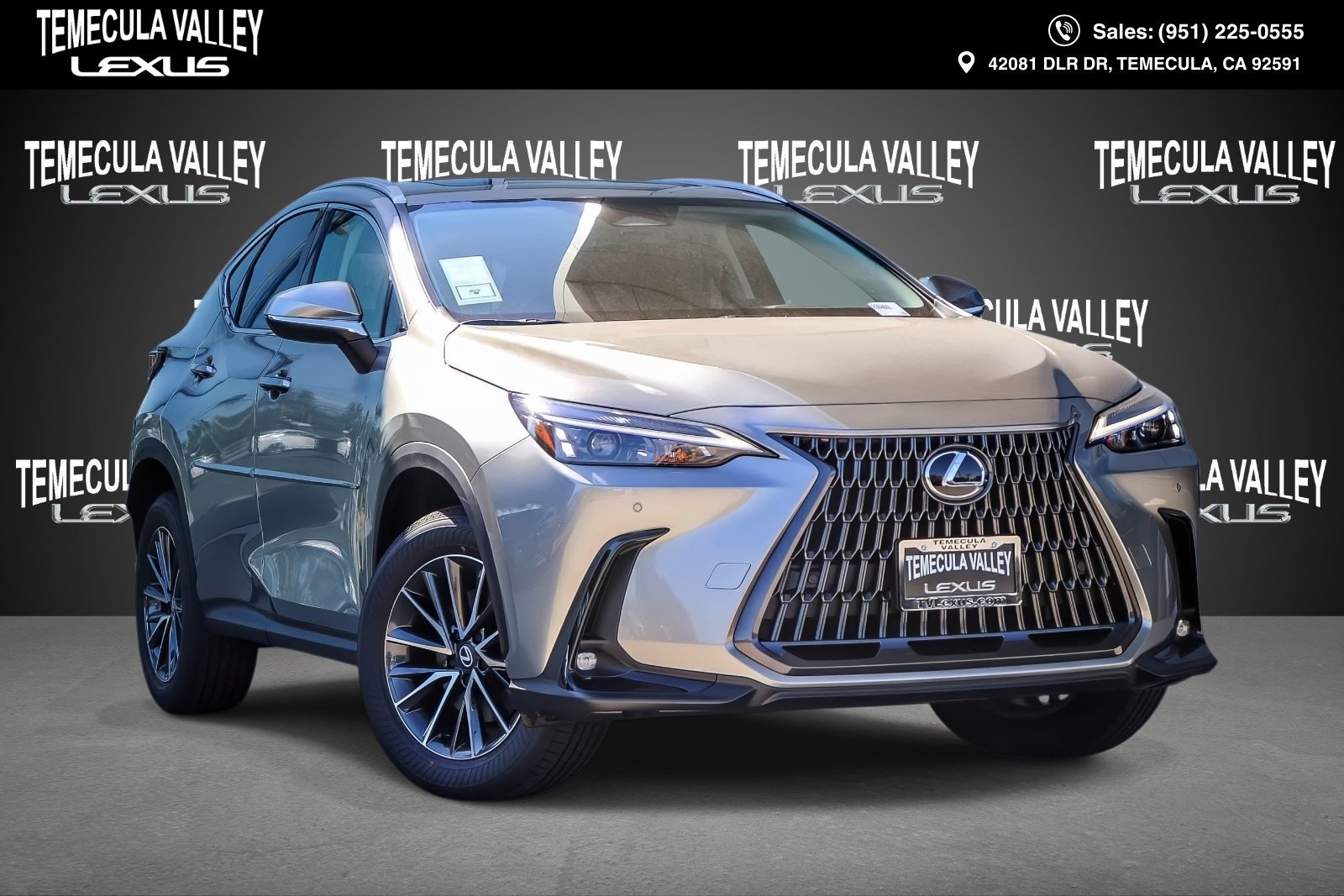 NX | Temecula Valley Lexus