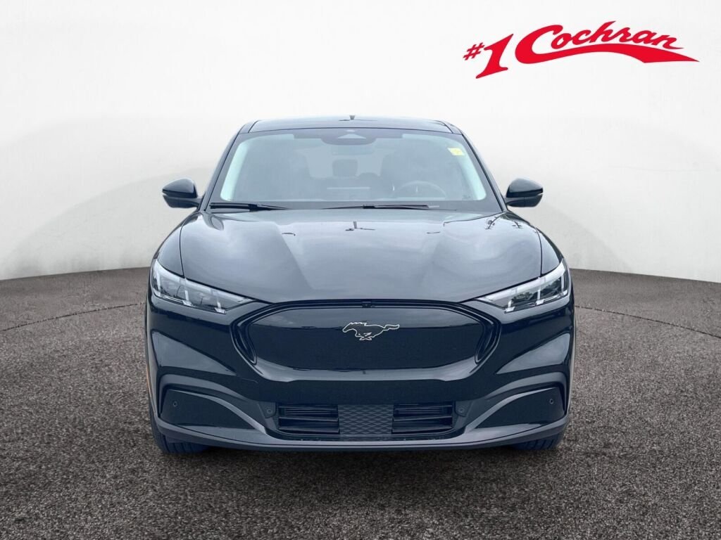 New 2026 Shadow Black Ford Premium image 12