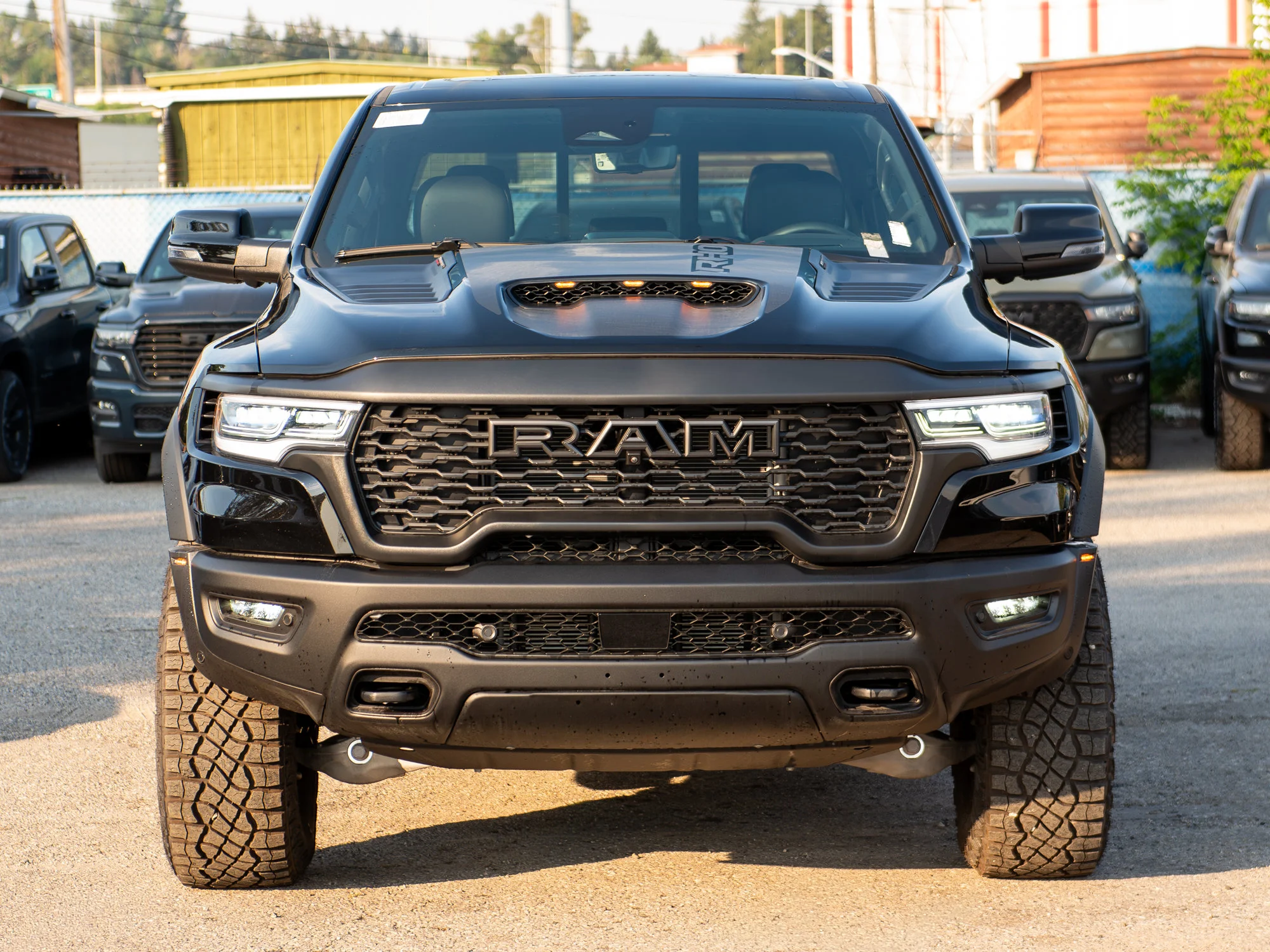 New 2026 Black RAM RHO* image 16