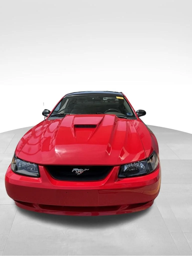 Used 2004 Red Ford GT image 2