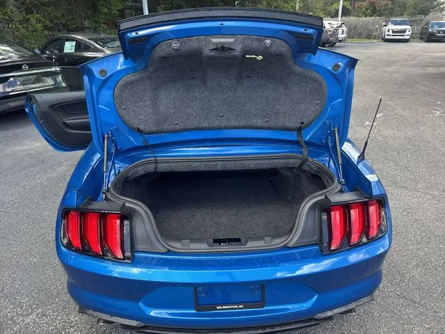 Used 2019 Blue Ford EcoBoost Premium image 12