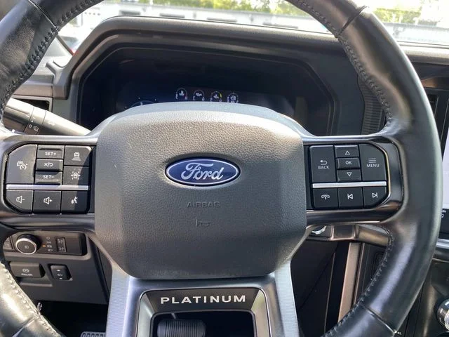 Used 2024 Black Ford Platinum image 18