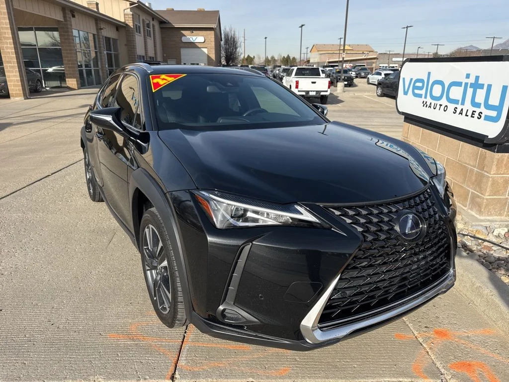 2021 Lexus UX 300h 250h AWD's photo