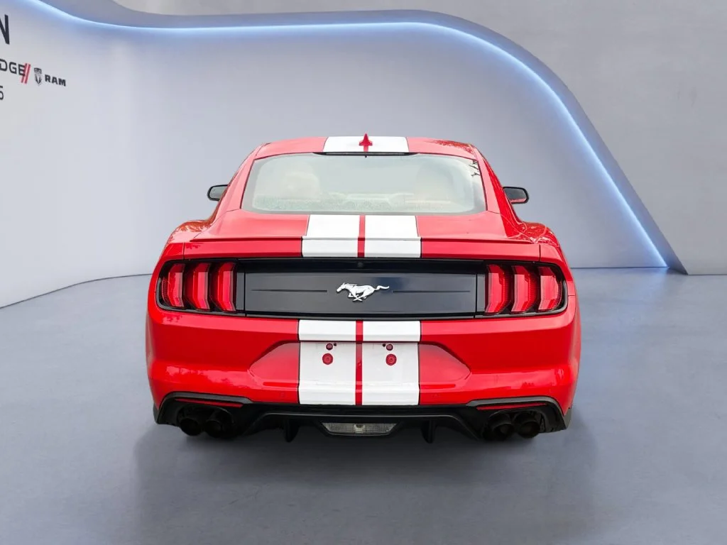 Used 2021 Race Red Ford EcoBoost Premium image 5