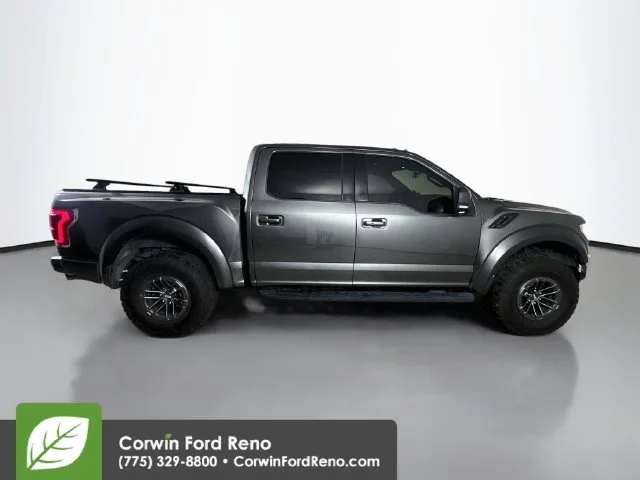 Used 2019 Magnetic Ford Raptor image 10