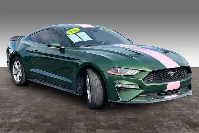 Used 2023 Green Ford EcoBoost image 11