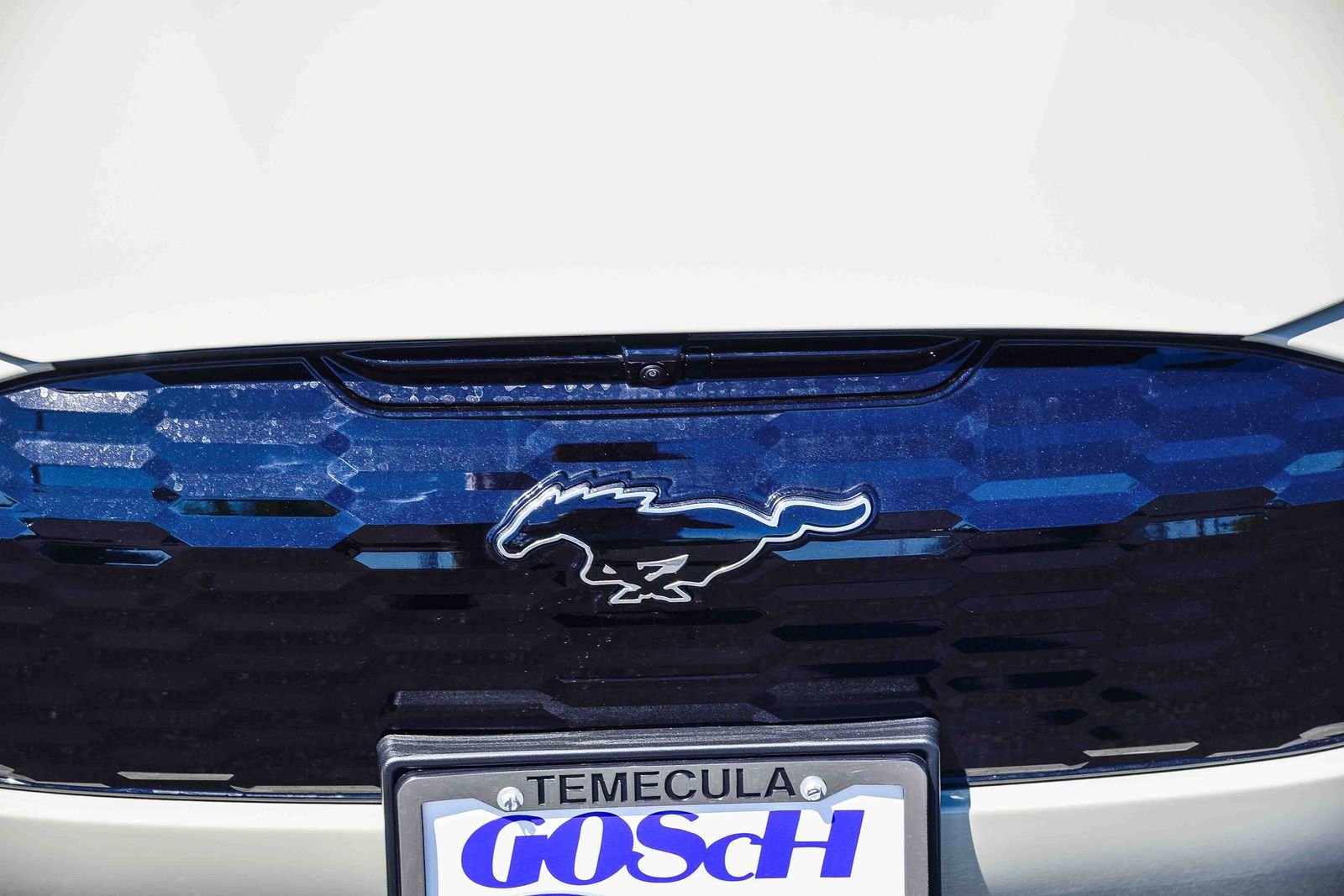 New 2026 Desert Sand Ford Premium image 11