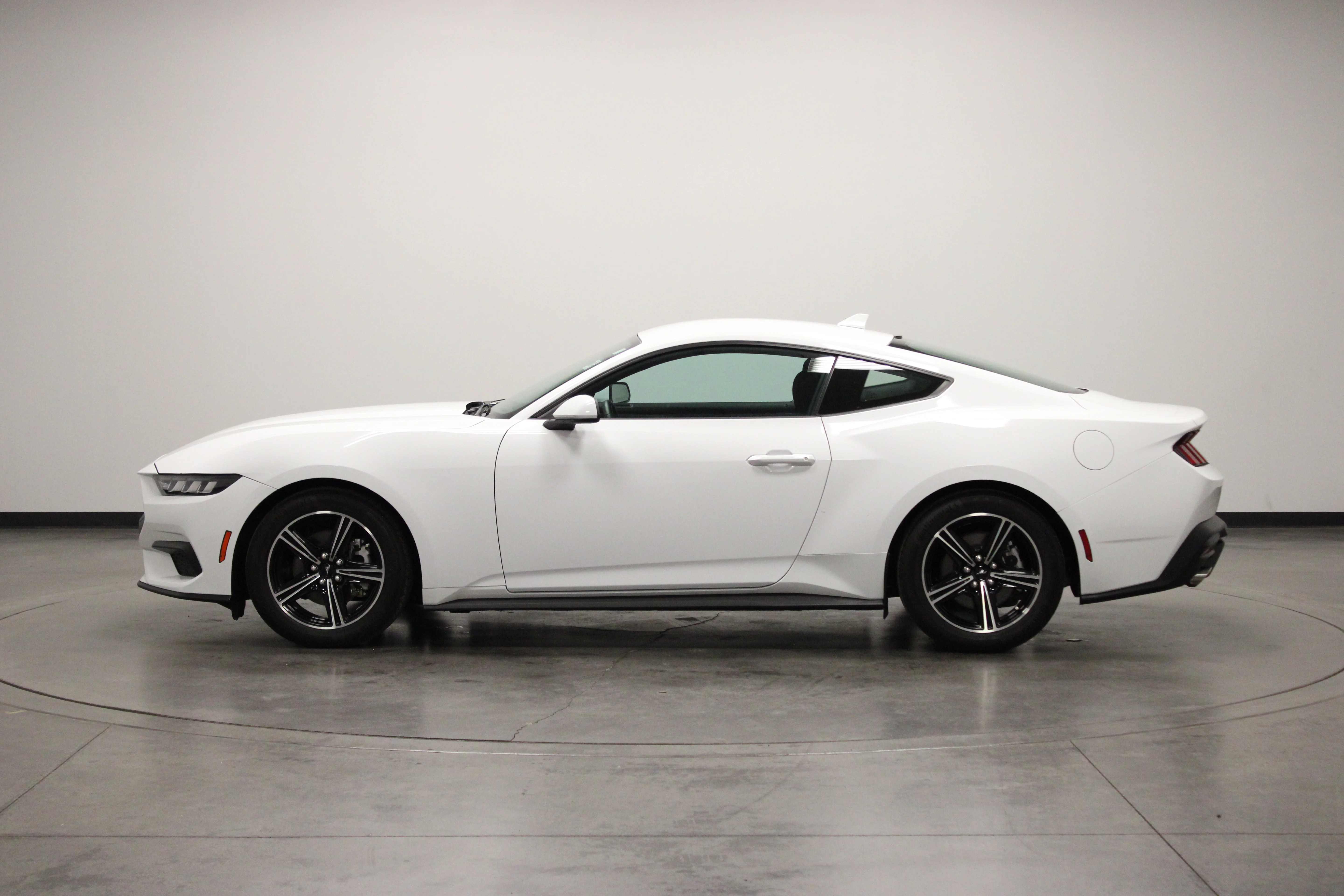 Used 2024 Oxford White Ford EcoBoost image 5