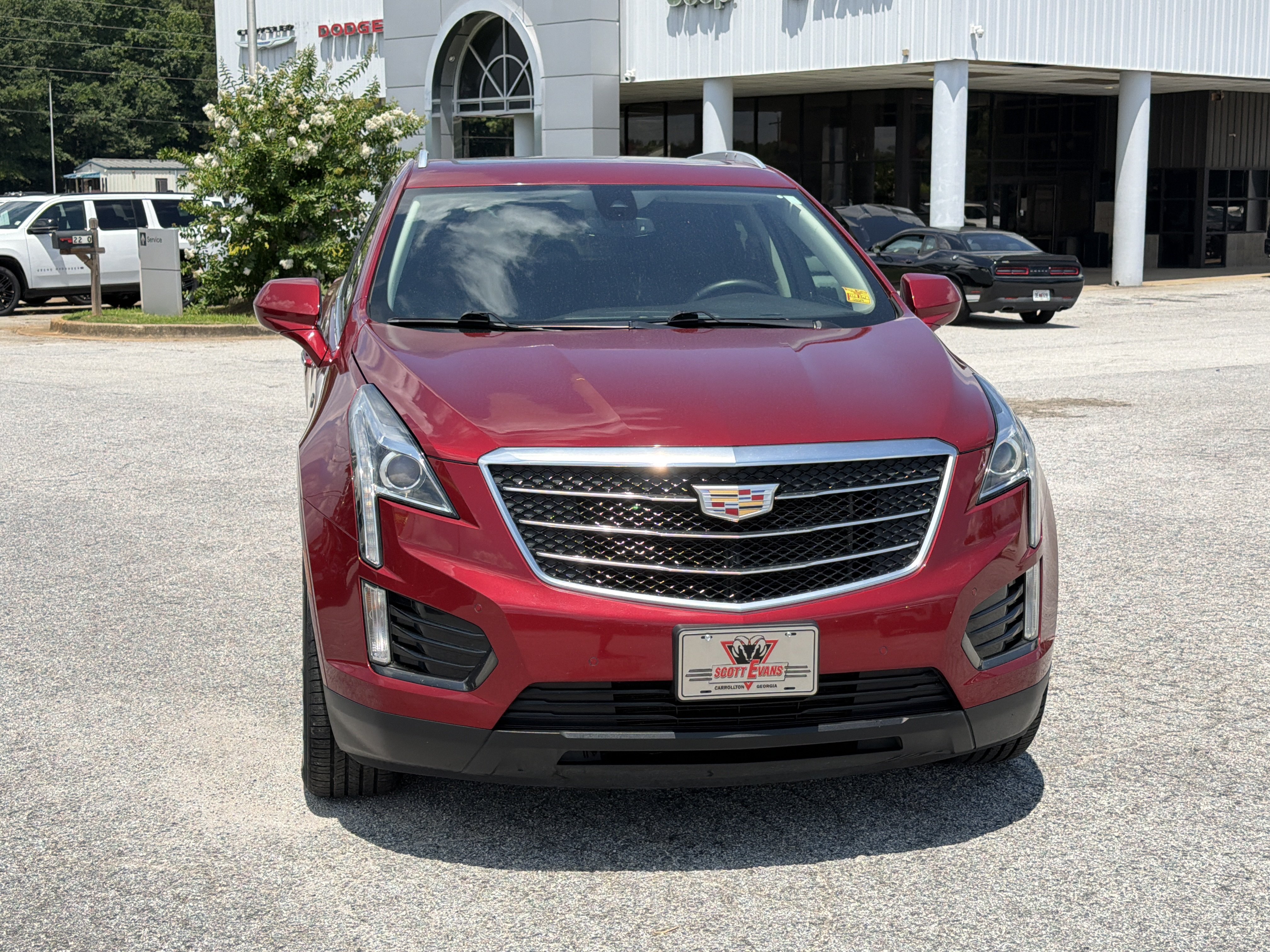 Used 2019 Red Horizon Tintcoat Cadillac Luxury FWD image 3