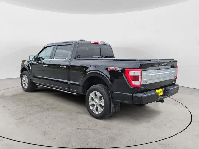 2023 Ford F-150 Platinum - Photo 7