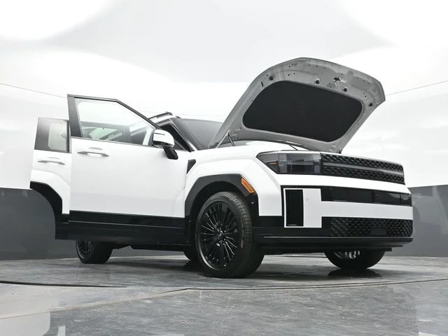 New 2026 White Hyundai Calligraphy image 22