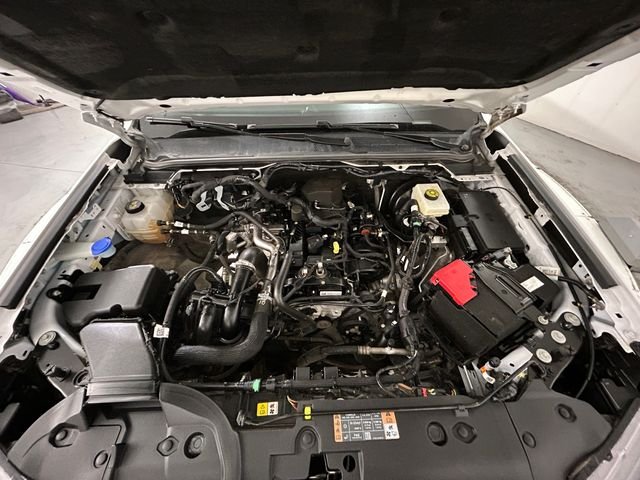 Used 2024 White Ford XLT image 21