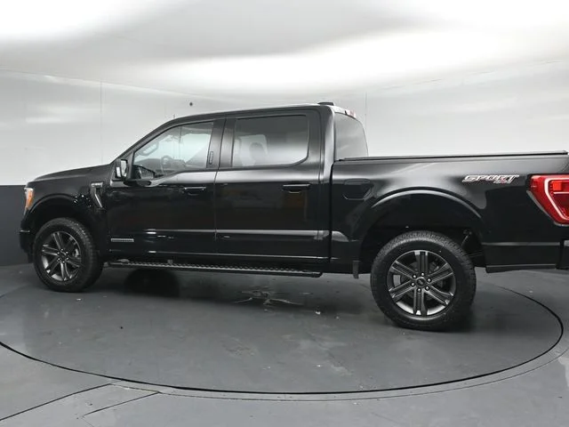 Certified Used 2023 Agate Black Metallic Ford XLT image 5