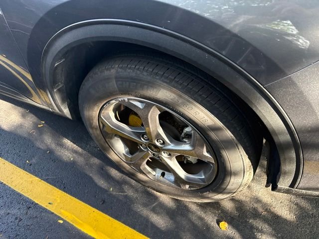 Used 2025 Gray Ford ST-Line image 3