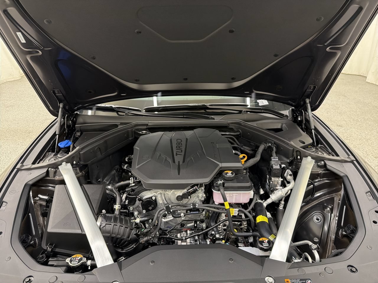 New 2027 Vik Black Genesis Standard image 11