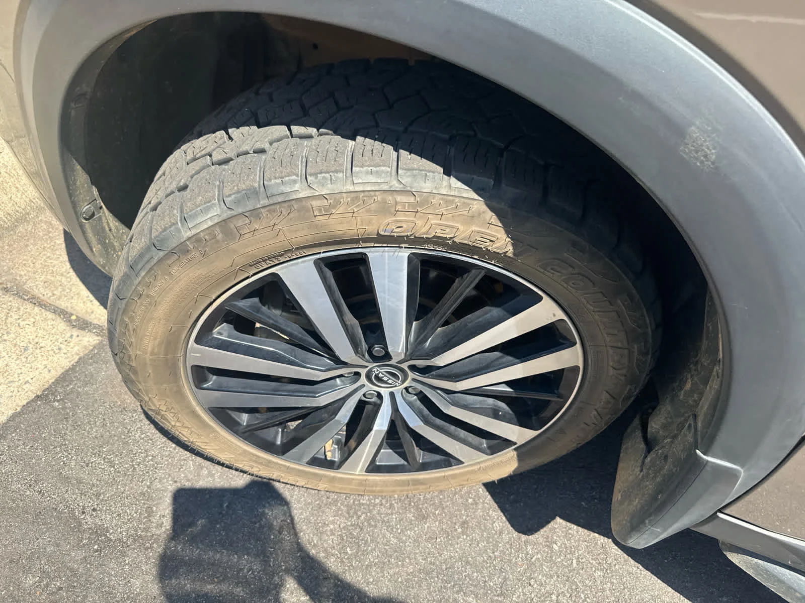 Used 2024 Baja Storm Nissan Platinum image 6