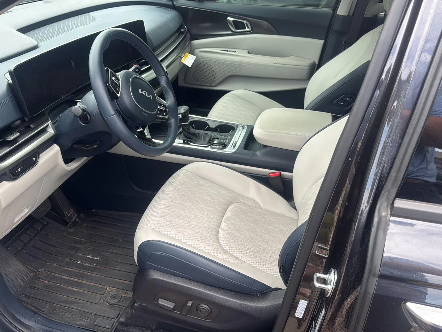Used 2025 Panthera Metal Kia SX image 8