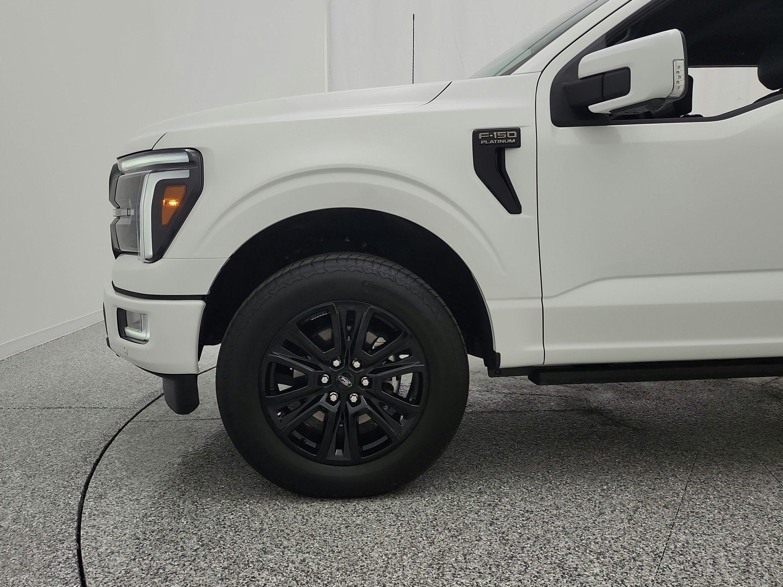 2025 Ford F-150 Platinum - Photo 23