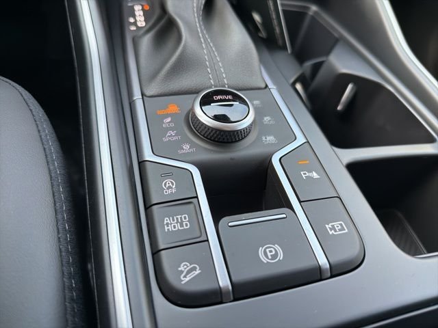 New 2026 Road Rider Brown Kia X-Line EX AWD image 18