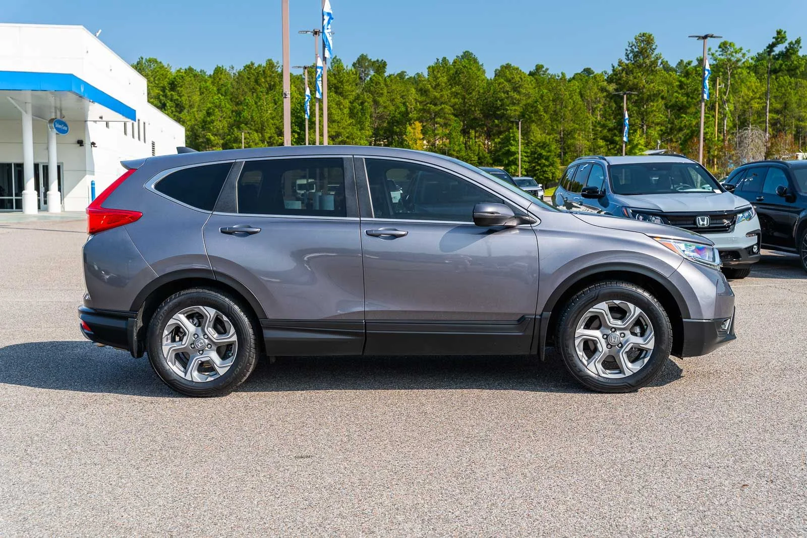 Used 2019 Gray Honda EX-L image 7
