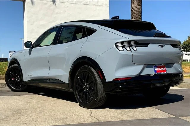 New 2025 Gray Ford Premium image 3