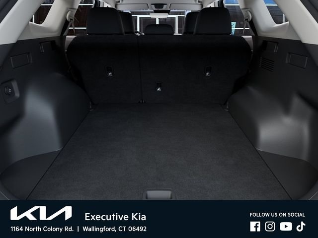 New 2026 Panthera Metal Kia LX image 19