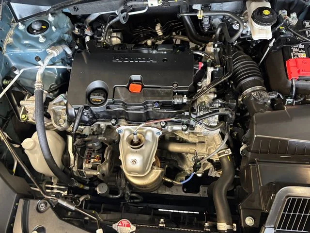 Used 2024 Green Honda Sport image 24