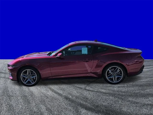 New 2026 Molten Magenta Metallic Tinted Clearcoat Ford EcoBoost® Premium Fastback image 7