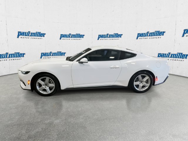New 2026 Oxford White Ford EcoBoost® Fastback image 6