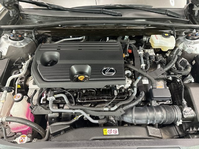 Used 2022 Iridium Lexus 300h image 32