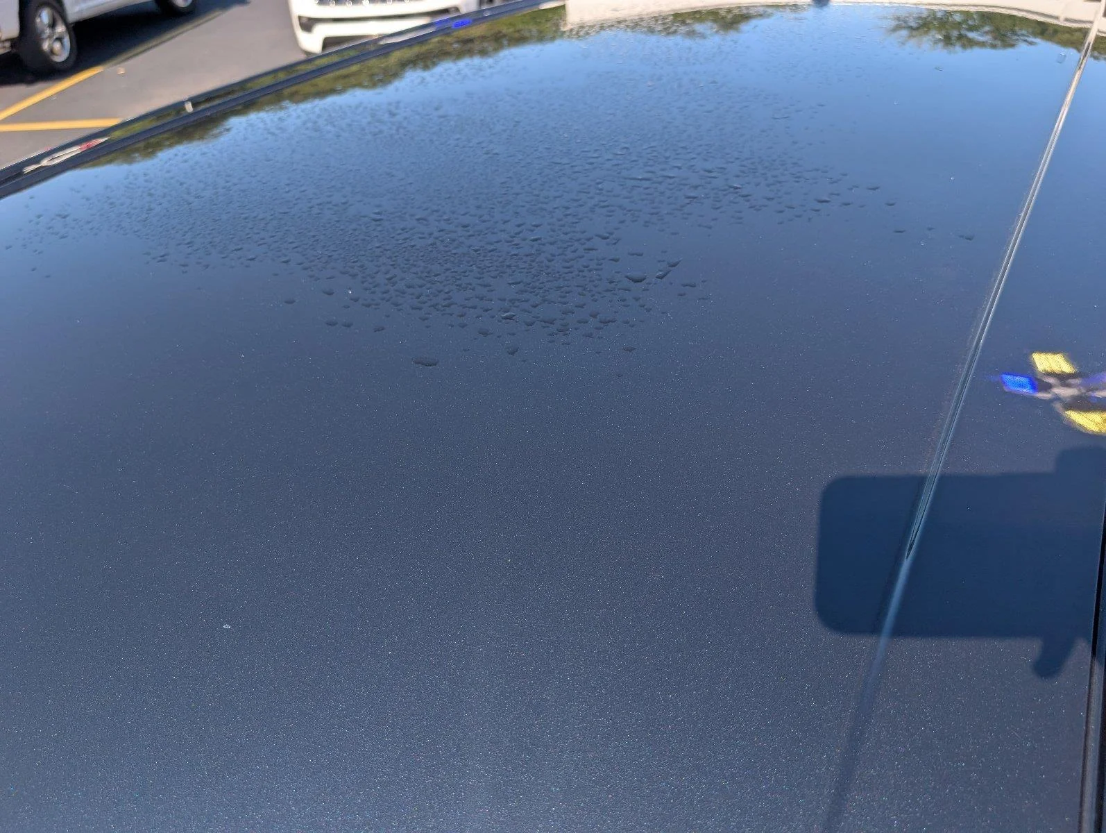Used 2024 Stone Blue Ford Titanium image 13