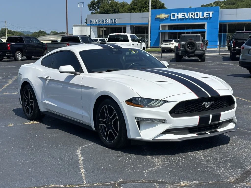 Used 2021 White Ford EcoBoost image 4