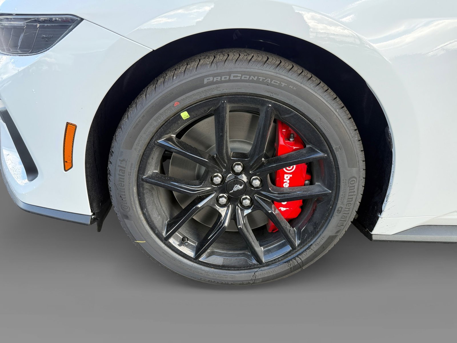 New 2026 Oxford White Ford GT Fastback image 9