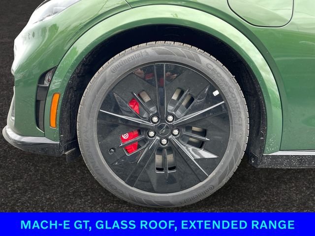 2025 Ford Mustang Mach-E GT - Photo 29