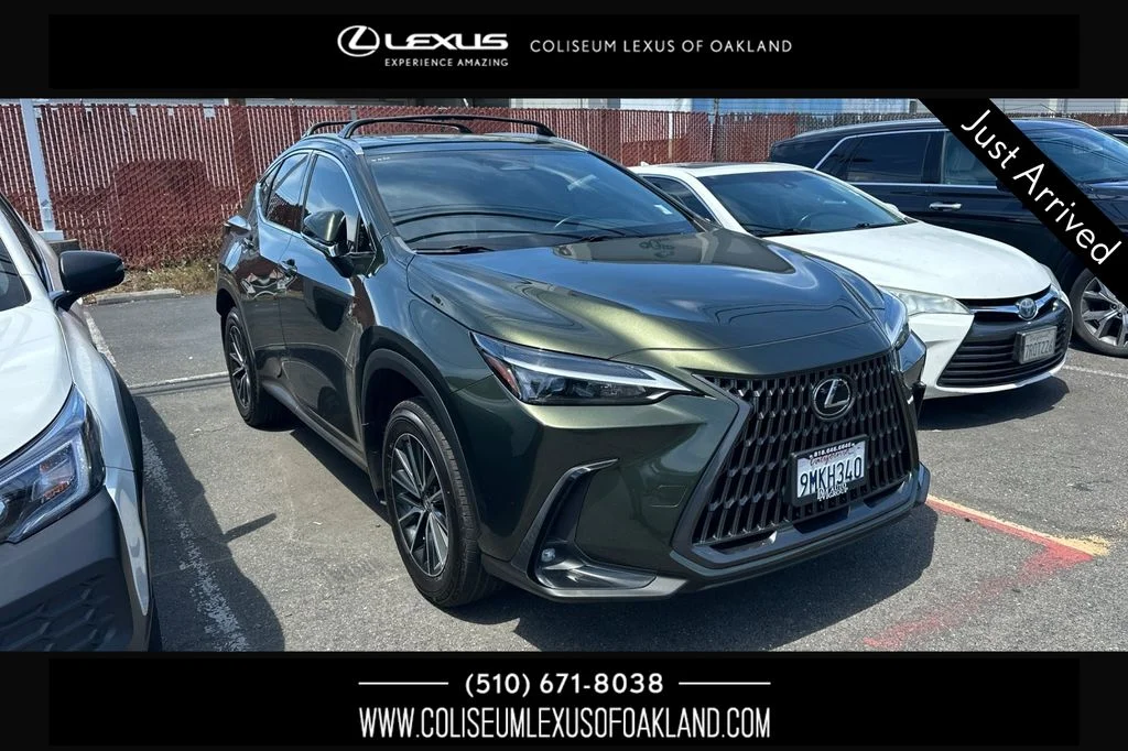 2024 Lexus NX 350h 350h AWD's photo