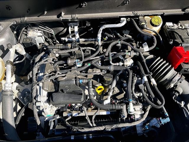 Used 2023 Gray Ford Big Bend image 32