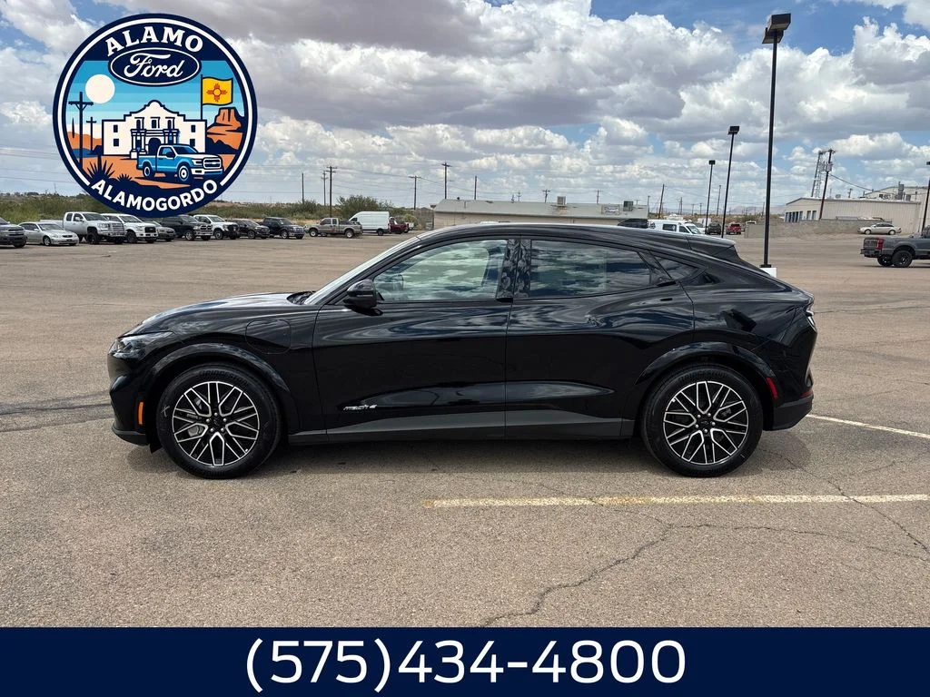 New 2026 Shadow Black Ford Premium image 2