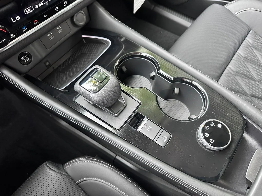 New 2026 Super Black Nissan Platinum image 30
