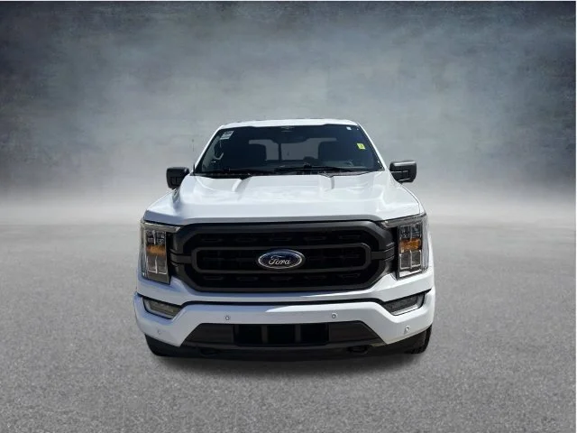 Used 2023 White Ford XLT image 5