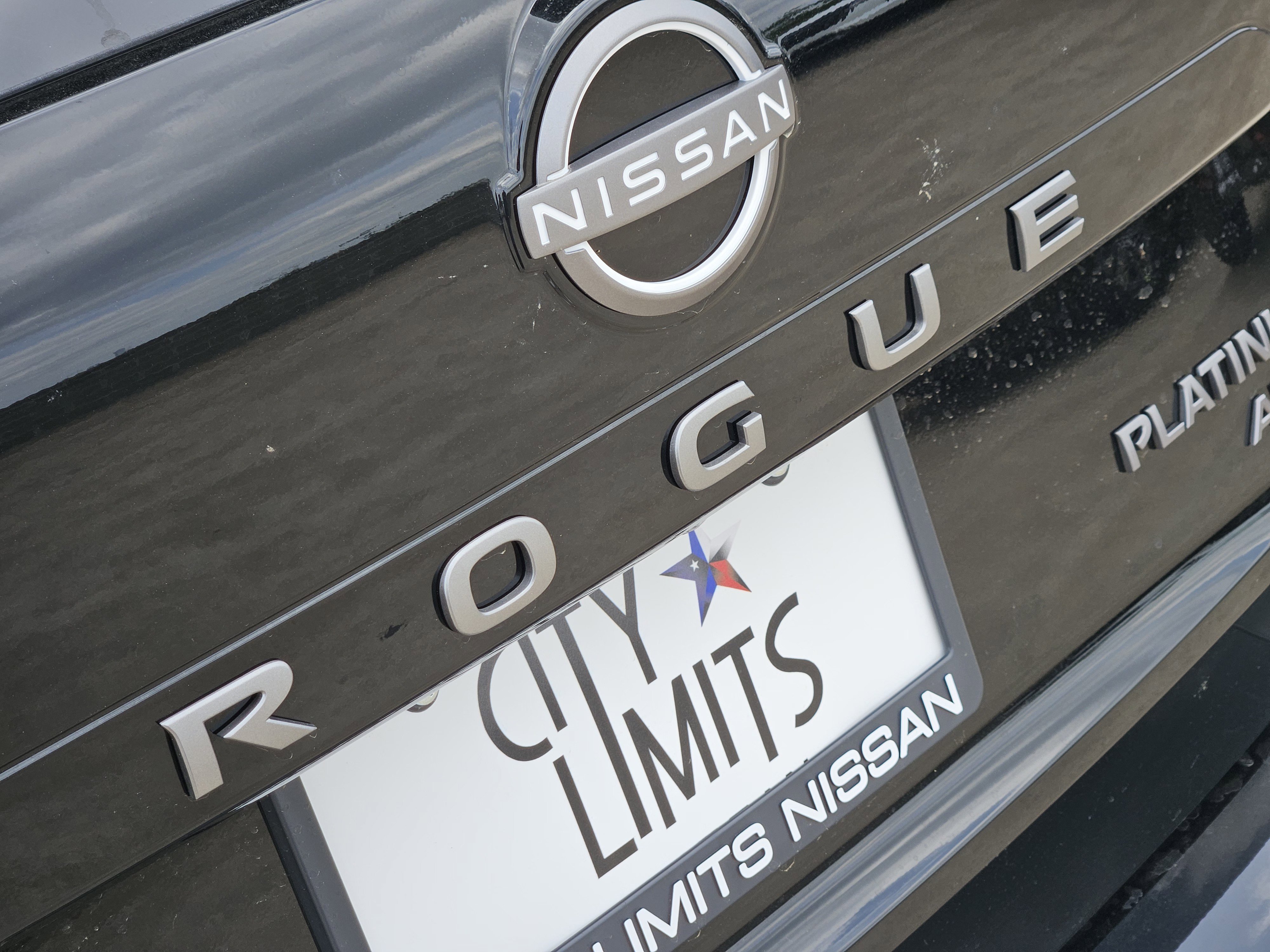 New 2026 Super Black Nissan Platinum image 12