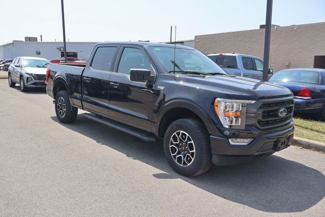 Used 2023 Black Ford XLT image 4