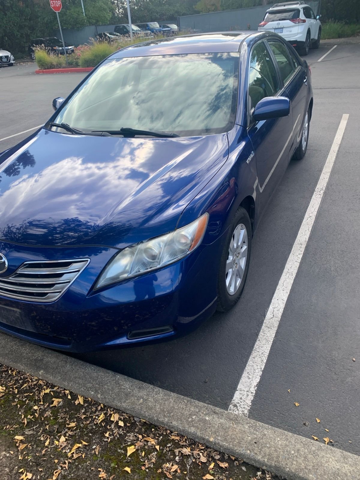 Used 2009 Blue Ribbon Metallic Toyota Base image 6